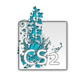 CS2[3]256